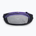 Ledvinka Osprey Daylite Waist 2L šedo-fialová 10004202 3