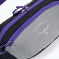 Ledvinka Osprey Daylite Waist 2L šedo-fialová 10004202 4
