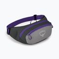 Ledvinka Osprey Daylite Waist 2L šedo-fialová 10004202 8
