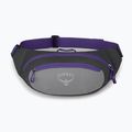 Ledvinka Osprey Daylite Waist 2L šedo-fialová 10004202 9