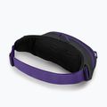 Ledvinka Osprey Daylite Waist 2L šedo-fialová 10004202 10