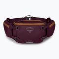 Ledvinka na kolo Osprey Savu 5 aprium purple