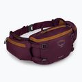 Ledvinka na kolo Osprey Savu 5 aprium purple 2