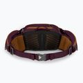 Ledvinka na kolo Osprey Savu 5 aprium purple 3
