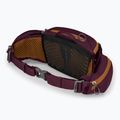 Ledvinka na kolo Osprey Savu 5 aprium purple 4