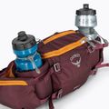 Ledvinka na kolo Osprey Savu 5 aprium purple 7