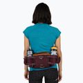 Ledvinka na kolo Osprey Savu 5 aprium purple 15