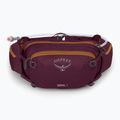 Ledvinka na kolo Osprey Seral 7 l se zásobníkem 1,5l aprium purple