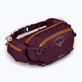 Ledvinka na kolo Osprey Seral 7 l se zásobníkem 1,5l aprium purple 2