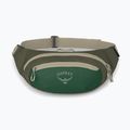 Ledvinka Osprey Daylite Waist green canopy/green creek