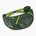 Ledvinka Osprey Duro Dyna 2 l mořská řasa zelená/limonová 2
