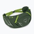 Ledvinka Osprey Duro Dyna 2 l seaweed green/limon 2