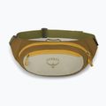 Ledvinka Osprey Daylite Waist meadow gray/histosol brown