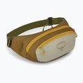 Ledvinka Osprey Daylite Waist meadow gray/histosol brown 2