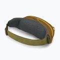 Ledvinka Osprey Daylite Waist meadow gray/histosol brown 3