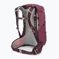 Dámský turistický batoh Osprey Sirrus 24 l elderberry purple/chiru tan 2