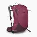 Dámský turistický batoh Osprey Sirrus 24 l elderberry purple/chiru tan 3