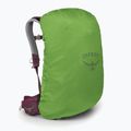 Dámský turistický batoh Osprey Sirrus 24 l elderberry purple/chiru tan 4