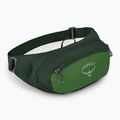 Ledvinka Osprey Daylite Waist 2 l green bely/green canopy 2