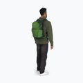 Turistický batoh Osprey Daylite Plus 20 l green belet/green canopy  11