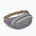 Ledvinka Osprey Daylite Waist 2 l soundwave grey/ latte brown 2