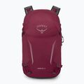 Turistický batoh Osprey Hikelite 26 l chameleon/ black