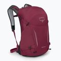 Turistický batoh Osprey Hikelite 26 l chameleon/ black 3