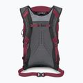 Turistický batoh Osprey Hikelite 26 l chameleon/ black 3
