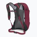Turistický batoh Osprey Hikelite 26 l chameleon/ black 4