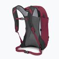 Turistický batoh Osprey Hikelite 26 l chameleon/ black 4