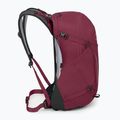 Turistický batoh Osprey Hikelite 26 l chameleon/ black 5