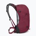 Turistický batoh Osprey Hikelite 26 l chameleon/ black 5