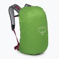 Turistický batoh Osprey Hikelite 26 l chameleon/ black 6