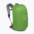 Turistický batoh Osprey Hikelite 26 l chameleon/ black 6