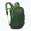 Dětský turistický batoh Osprey Jet 12 l green canopy/limeline green 2