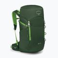 Turistický batoh Osprey Jet 28 l green canopy 2