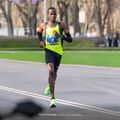 Pánské běžecké tričko Joma Elite XI fluor yellow/black 5