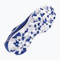 Pánské kopačky Joma Liga 5 TF royal 12