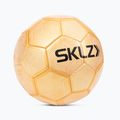 SKLZ Golden Touch Ball zlatá 3406 2
