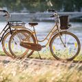 Kellys Royal Dutch 460 městské kolo černé 72362 8