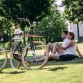 Kellys Royal Dutch 460 městské kolo černé 72362 11
