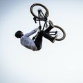 Kellys Whip 30 dirt bike grey/black 76398 7