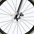 Basso Diamante Disc silniční kolo stříbrné DID3122 6