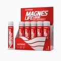 Magneslife Nutrend 10X25 ml Hořčík VT-023-250-XX 2