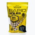 Proteinové boilies  MIVARDI Rapid Boilies Easy Catch Scopex + Cream 3,3 kg