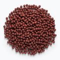 Proteinové boilies  MIVARDI Rapid Boilies Starter Hot Spice 3,5 kg 4