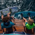 JOBE Maddox Wakeboard 272523002 6