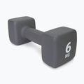 Neoprenová činka 6 kg Pure2Improve šedá P2I201440