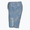 Pánské koupací šortky Hurley Pineapple Volley Swim Short Blue/Brown 3
