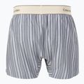 Boxerky Calvin Klein LV00NM2945 Boxer Trad majorca stripe speakeasy 2